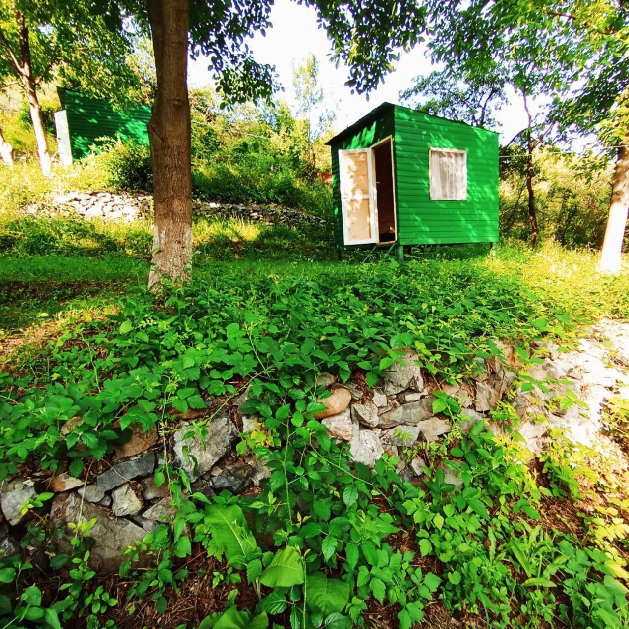 Campsite Three Poplars By Vl *